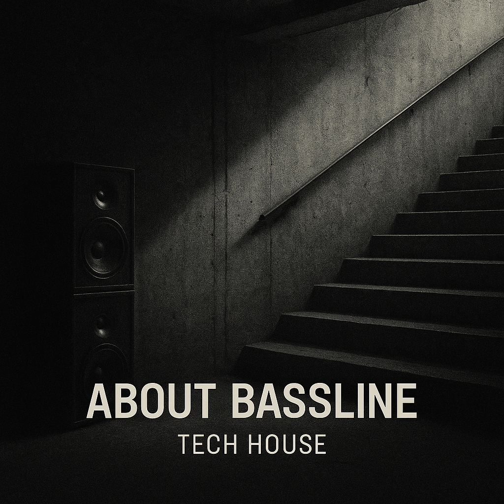 About Bassline - Valean Florin - Scraps Audio