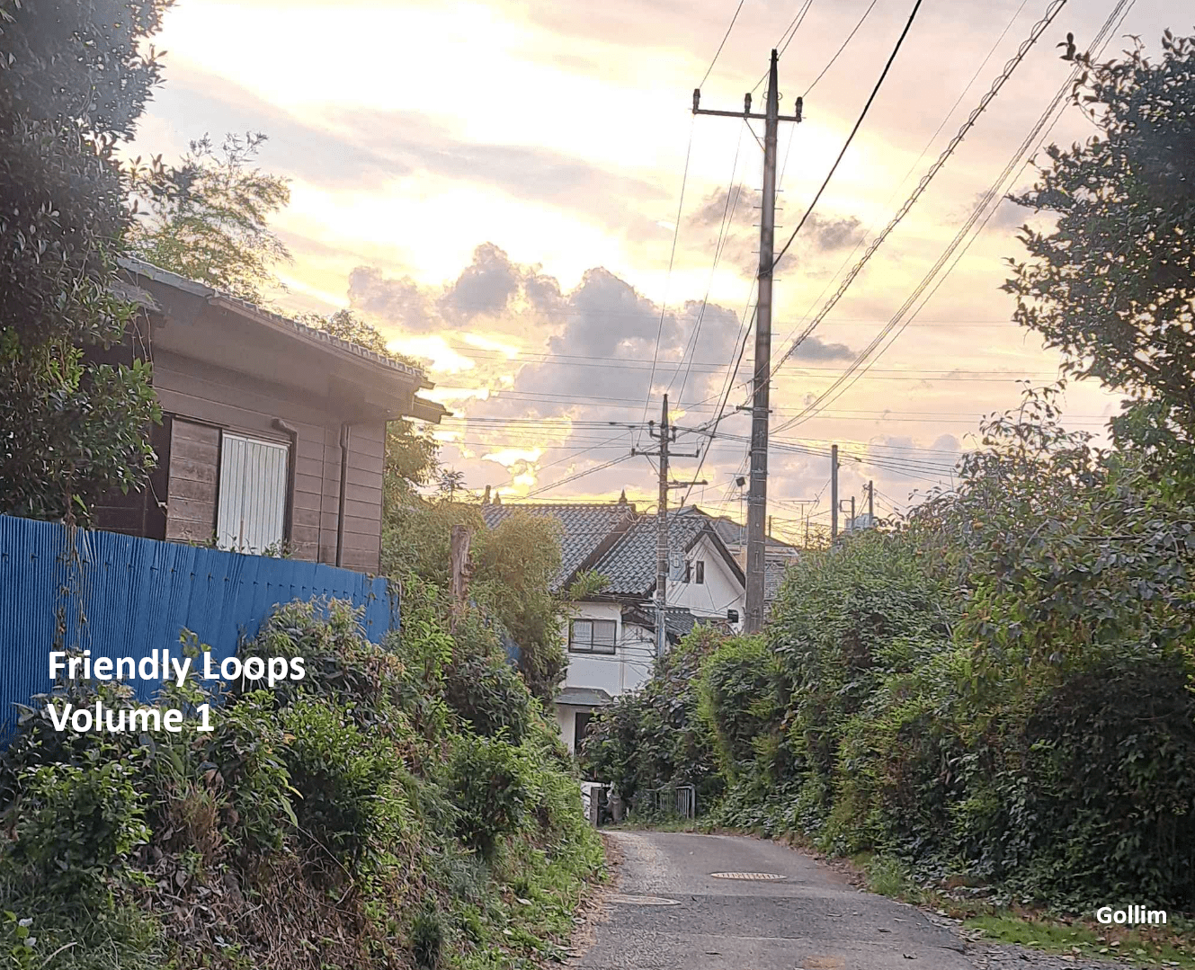 Friendly Loops - Gollim - Scraps Audio