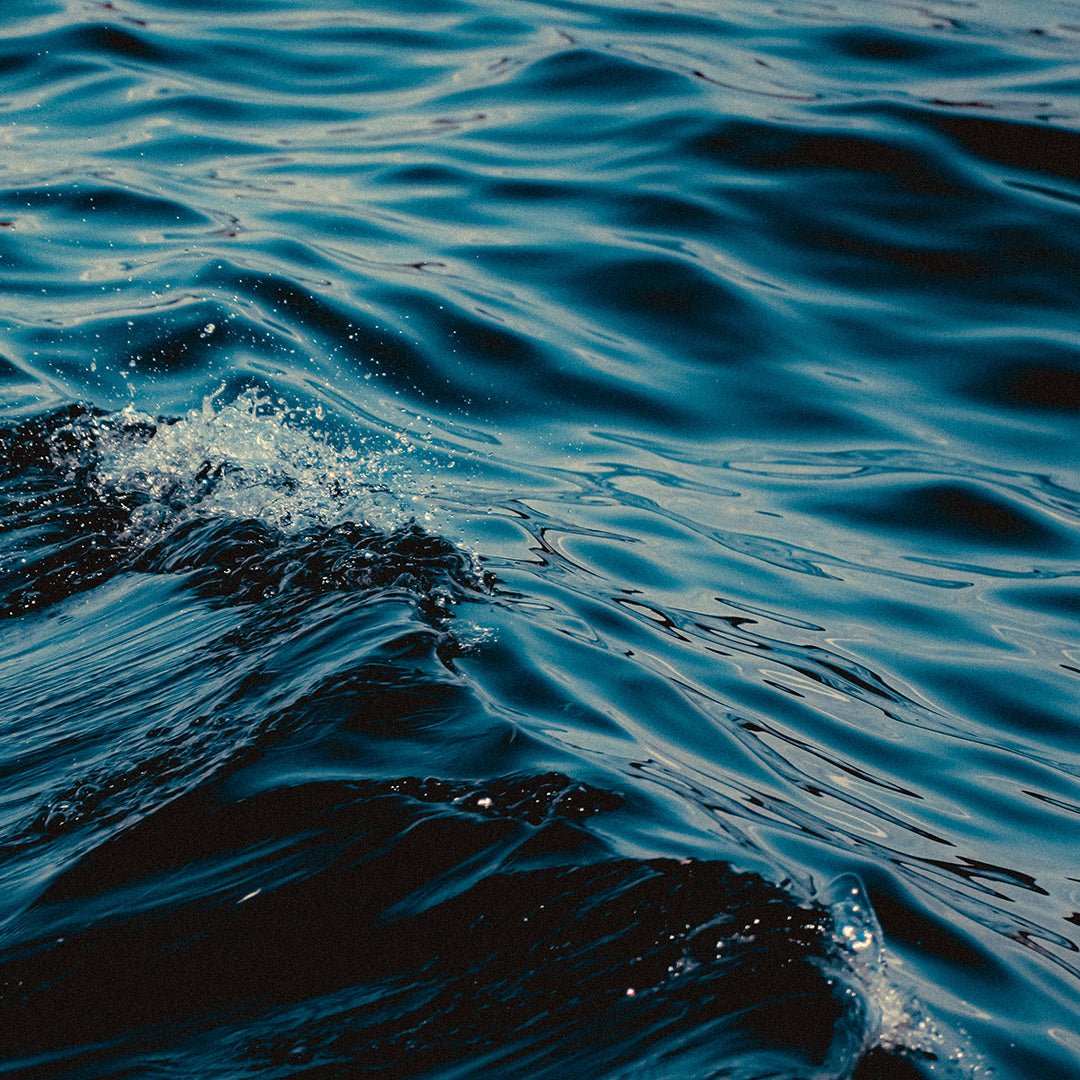 Ocean Express - Guilherme Vzz - Scraps Audio
